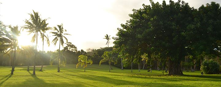 environment shangri la hotels