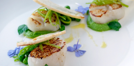 煎鲜贝配豌豆、薄荷及蒜香吐司