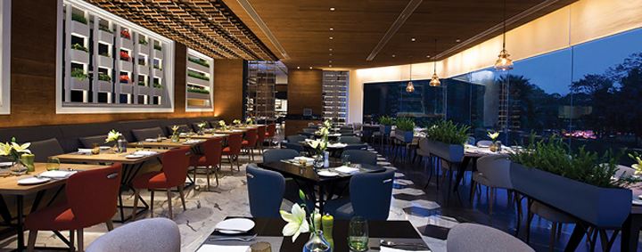 Multi Cuisine Restaurants in Delhi