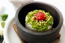 Plum &amp; Rice served with Bonito Soup in a Stone Bowl