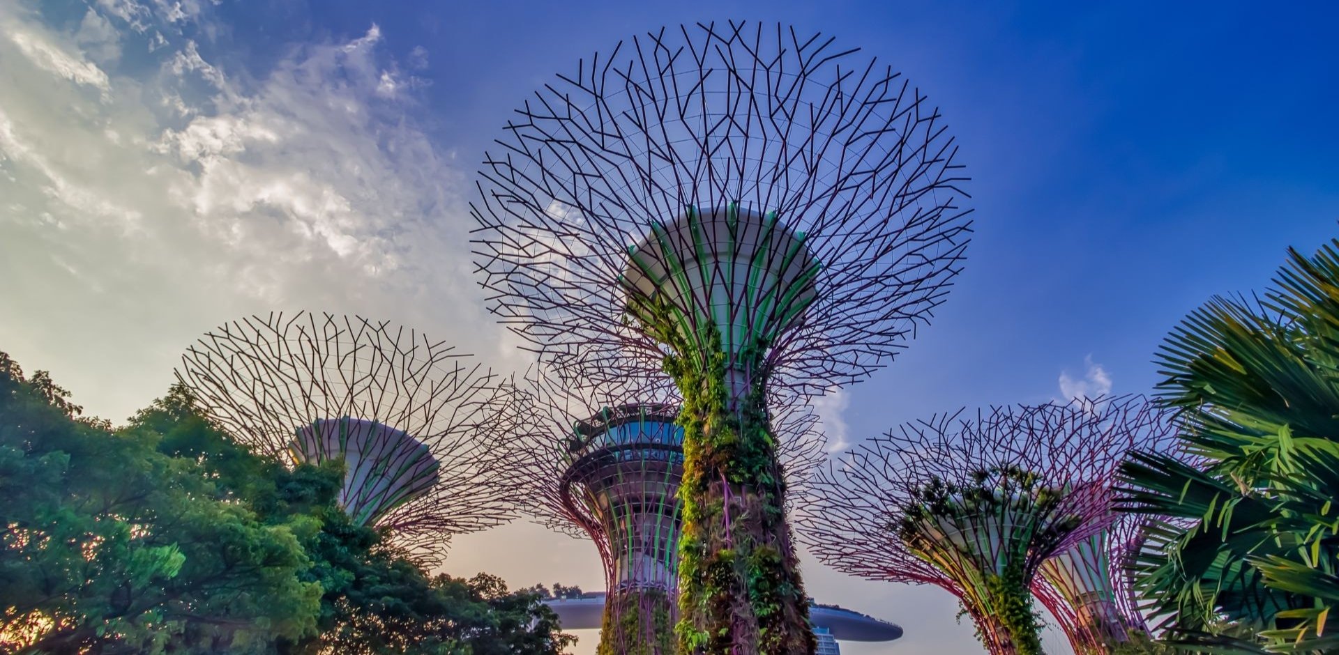 关于新加坡圣淘沙香格里拉